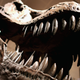 This one’s already been identified, sorry. It’s a T. Rex.